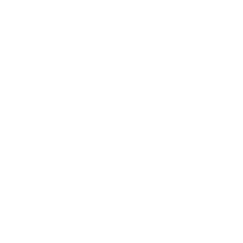 Rectools Logo White